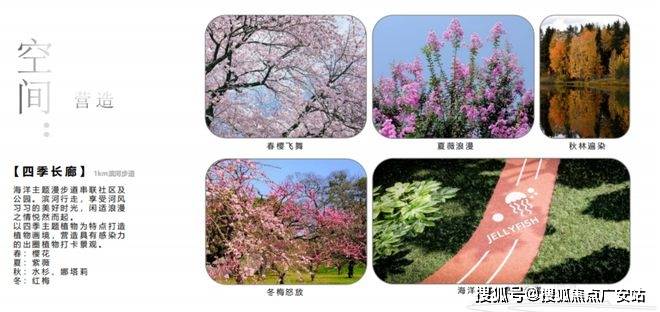 025楼盘评测_售楼处电话丨房价丨详情丨地址丨楼盘百科详情k8凯发入口国贸虹桥璟上(国贸虹桥璟上售楼处)首页网站-2(图37)